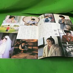 映画パンフレット　「カリブ・愛のシンフォニー」　鈴木則文　松田聖子　神田正輝　峰竜太　1985年＠上下の画像