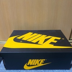 AIR JORDAN 1 POLLEN 28.5cmの画像