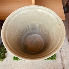 JF0625 鉢　金魚鉢　メダカ鉢の画像