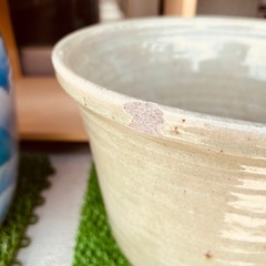 JF0625 鉢　金魚鉢　メダカ鉢の画像