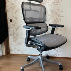 【取りに来てくれる方限定】オフィスチェア　エルゴヒューマンプロ