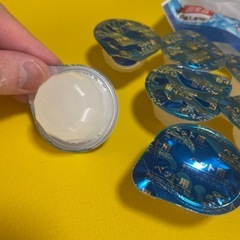 わんちゃん用シャーベットの画像