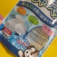 わんちゃん用シャーベットの画像