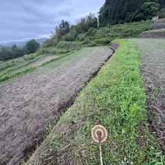 草刈りなどお手伝いします！