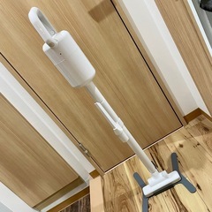掃除機 コードレスクリーナー プラスマイナスゼロ B021