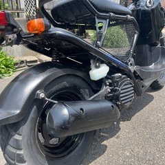 ズーマー　実働　
ホンダ　　自賠責2年付　 原付 の画像
