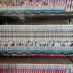 【1000円】クローバー
