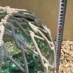 可愛い浮き玉の画像