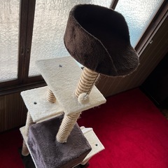 キャットタワーの画像