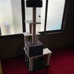 キャットタワーの画像