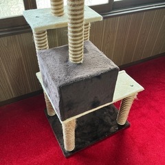 キャットタワーの画像