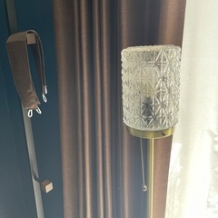 引き取り手いなければ今週処分予定スタンドライト