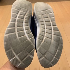 スニーカー（レディース）の画像