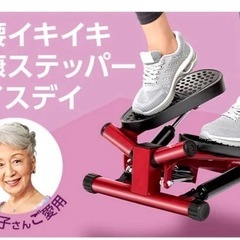 【美品】Shop Japan(ショップジャパン) 健康ステッパー ナイスデイ プレミアム レッドの画像