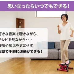 【美品】Shop Japan(ショップジャパン) 健康ステッパー ナイスデイ プレミアム レッドの画像