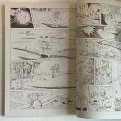「漫画」風の谷のナウシカ　第1巻の画像