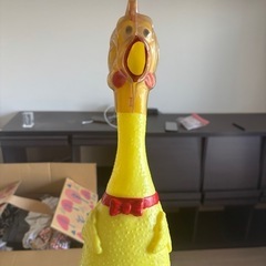 【無料！6/1-2限定】鳴く鳥
