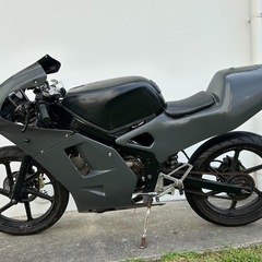 Ns-1 