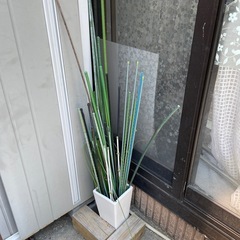園芸支柱　まとめて