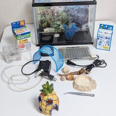 魚　オカヤドカリ飼育セット