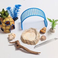 魚　オカヤドカリ飼育セットの画像