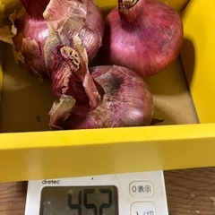赤玉ねぎ 3個 約450g