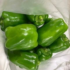 ピーマン 350g