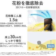 Panasonic  空気洗浄機の画像