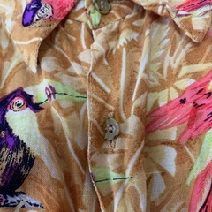 アロハシャツの画像