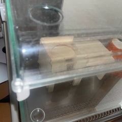ハムスターのカゴと餌入れとトイレのとこ付き