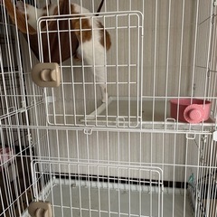 3段キャットケージ