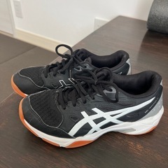 室内スポーツシューズ24.0
