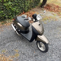 1047.動画あり　ホンダ　AF67トゥデイ　社外マフラー原付　バイク　50cc 車体の画像