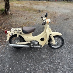 1054.動画あり　ホンダ　リトルカブ　4速セル付　低走行　原付　バイク　50cc 車体の画像