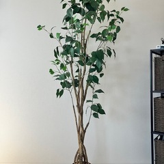 フェイクグリーン　観葉植物