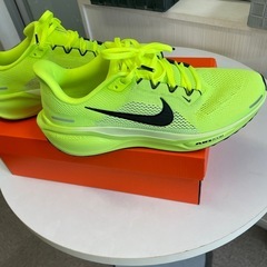 Nike Air Zoom Pegasus 41