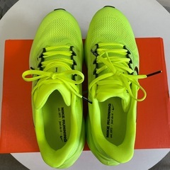 Nike Air Zoom Pegasus 41の画像