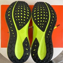 Nike Air Zoom Pegasus 41の画像