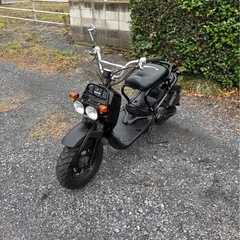 1056.動画あり　ホンダ　ズーマー　ZOOMER 原付　バイク　50cc 車体　埼玉の画像