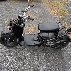 1056.動画あり　ホンダ　ズーマー　ZOOMER 原付　バイク　50cc 車体　埼玉の画像