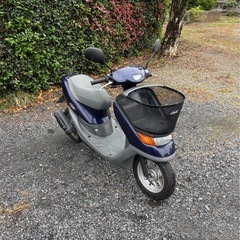 1057.動画あり　ホンダ　ライブディオチェスタ　2スト　原付　バイク　50cc 車体の画像