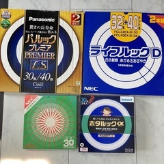 電球　蛍光ランプ　30 32