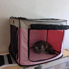 猫，犬用どこでもワンタッチゲージの画像