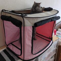 猫，犬用どこでもワンタッチゲージの画像