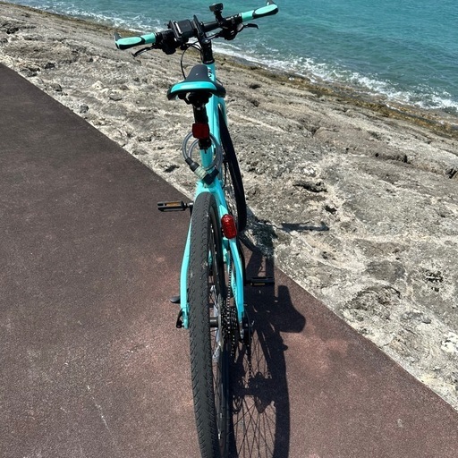 大特価！　ビアンキ　BIANCHI　クロスバイク　スポーツ　有酸素運動 大特価、値下げ！ ビアンキ BIANCHI クロスバイク スポーツ 有酸素運動