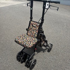 シルバーカー サニーウォーカーSP（中）の画像