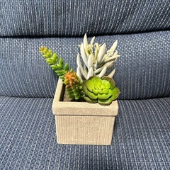 ⑤ 造花 多肉植物 寄せ植え オブジェの画像