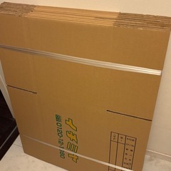 段ボール新品未使用10枚
の画像