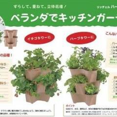 リッチェル ハーベリーポット43型 ブラウン6個の画像