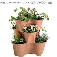 リッチェル ハーベリーポット43型 ブラウン6個の画像